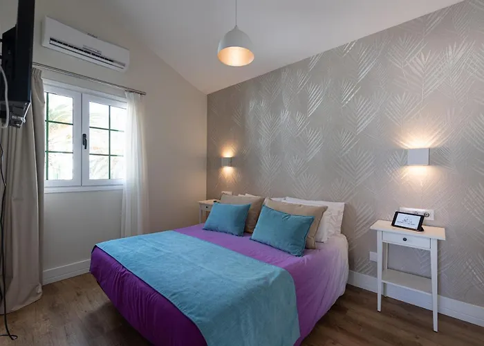 Homeforguest Modern And New Beachfront Daire La Oliva