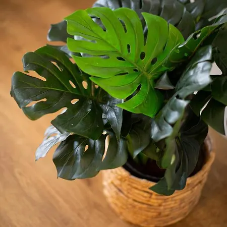 Lejlighed Homeforguest Modern And New Beachfront